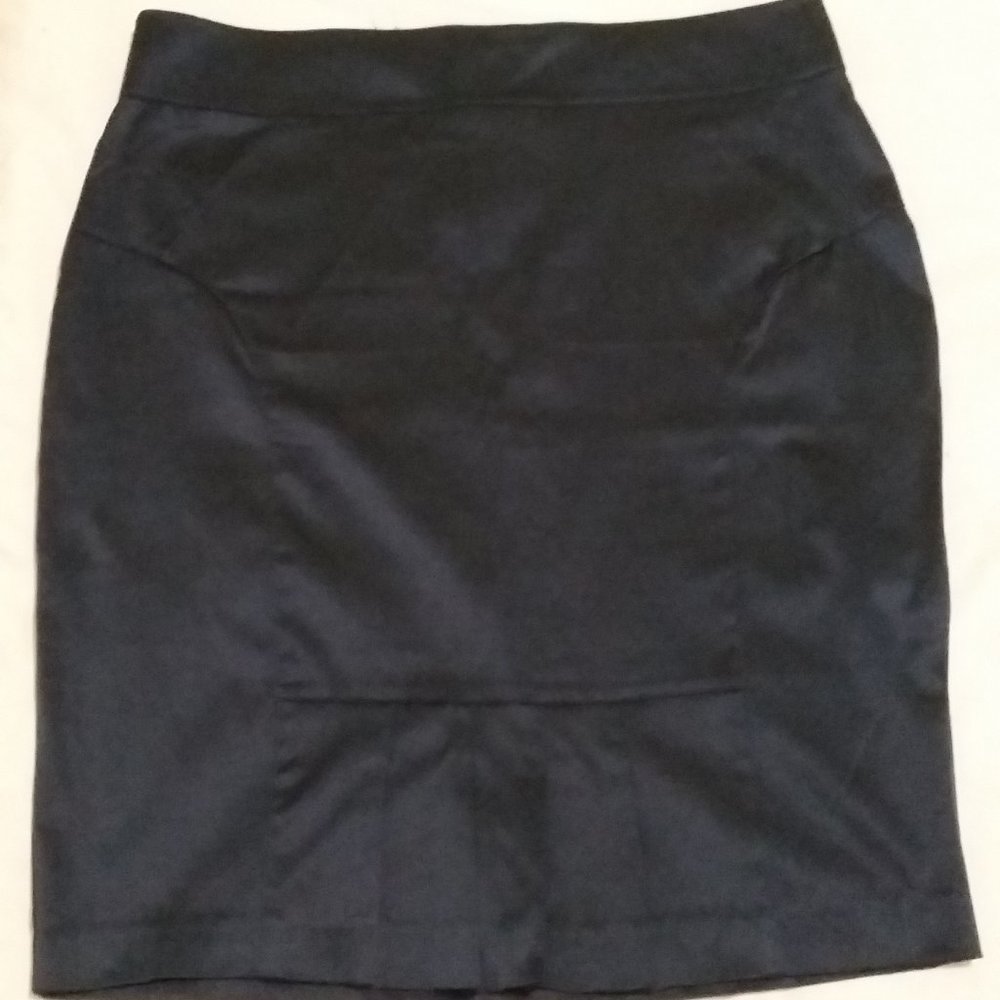 5/$25 Large NWOT deep blue skirt with details